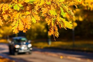 Fall Auto Repair Tips in Stafford, VA
